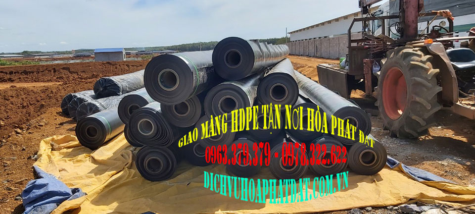 Giao màng HDPE cho khách Hòa Phát Đạt